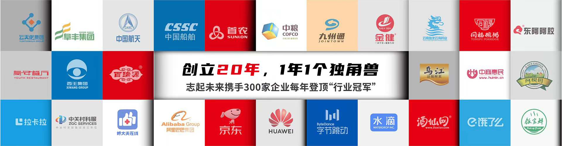 北京志起未來咨詢集團（簡稱CBCT或志起未來），成立于2005年，總部位于北京，是一家創新品牌營銷策劃公司，入選中國十大策劃公司，在公司戰略品牌營銷、戰略定位、品牌策劃、農產品區域公用品牌等已經服務15年，15年來致力于企業、產業及區域經濟的發展研究，為企業和政府提供決策依據和資源支持。